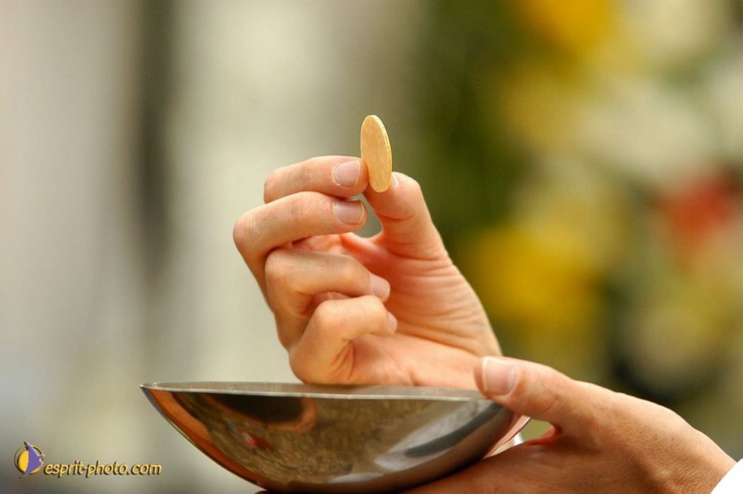 Nom de l'image : EP08-0013_(c)Norbert-JUNG — Description :